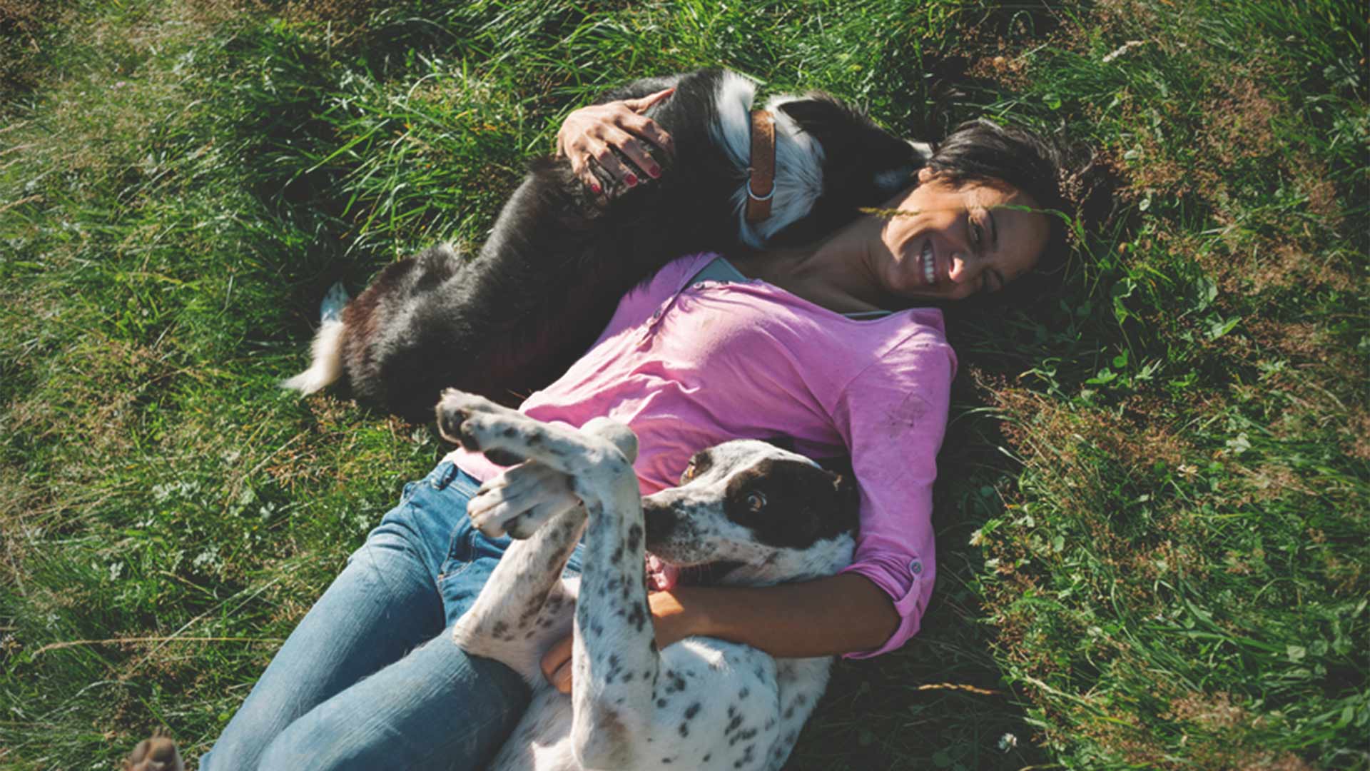 Woman Playing with Dogs in Grass | What We're Reading: The Importance of Play